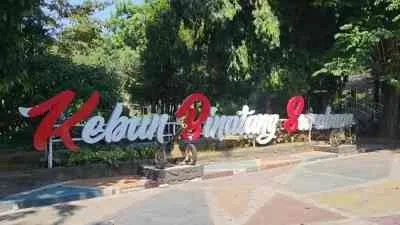 Seleksi Direksi BUMD Surabaya: Peluang untuk Profesional
