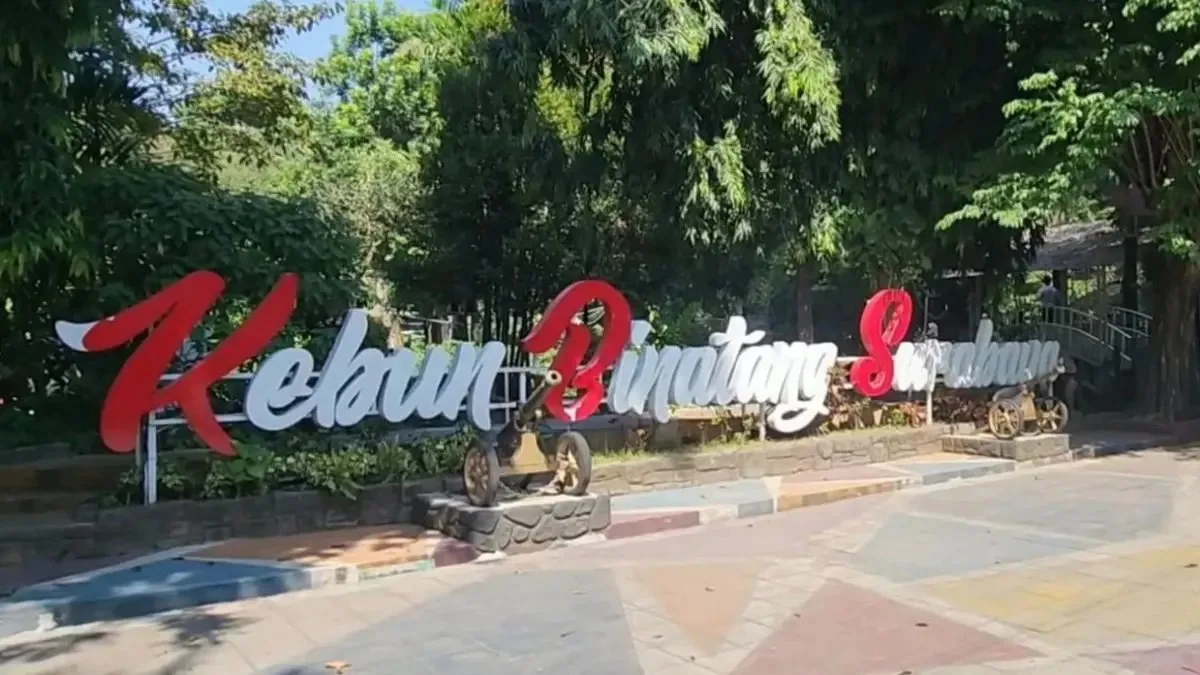 Seleksi Direksi BUMD Surabaya: Peluang untuk Profesional