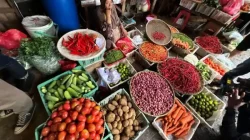 Strategi Pemerintah untuk Stabilitas Harga Pangan