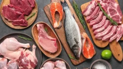 Dampak Konsumsi Protein Berlebih pada Pertumbuhan Anak