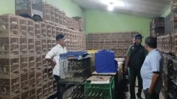 Penemuan 101 Burung Dilindungi di Medan: Tindakan Hukum Ditingkatkan