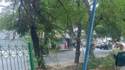Kondisi Taman RPTRA Pedongkelan yang Memprihatinkan
