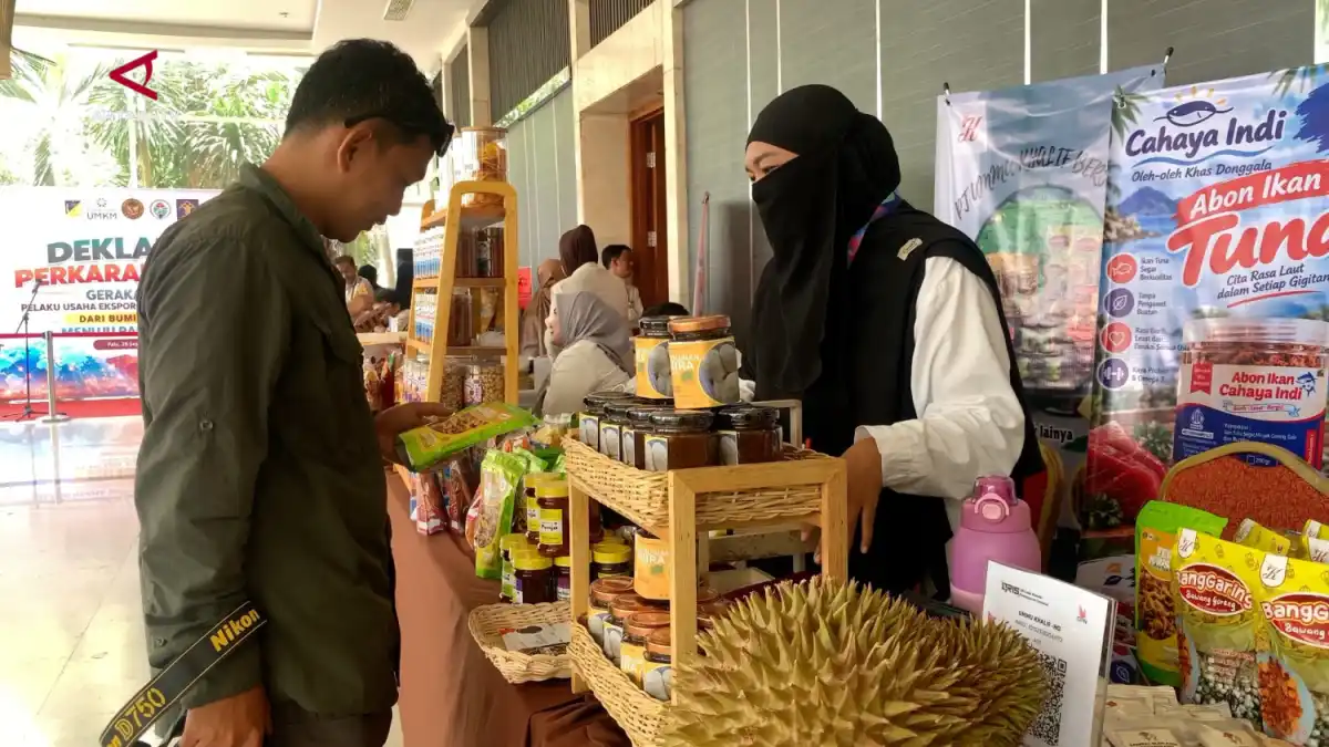 Mendorong Ekspansi UMKM Sulawesi Tengah ke Pasar Global