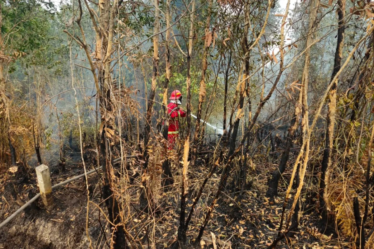Memburu Bara di Balik Kepulan Asap, Satgas Darat Lanud Sjamsudin Noor Tak Beri Ruang Karhutla Kembali Menyala