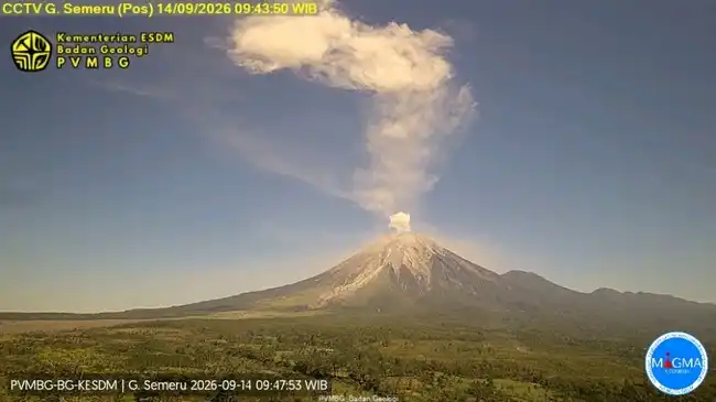 Gunung Semeru Erupsi, Kolom Abu Terpantau Setinggi 3.876 Meter