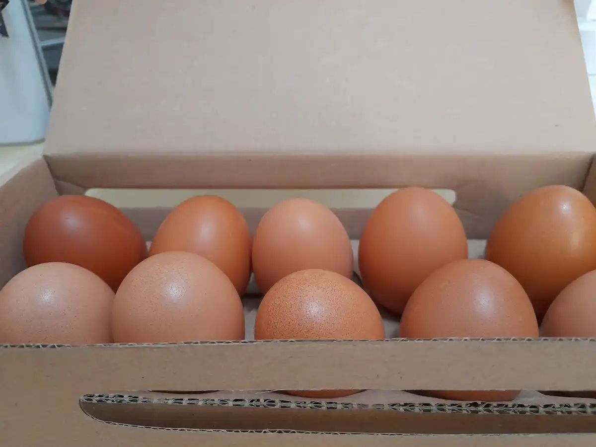 Kementan Tetapkan Batas Bawah Harga Telur untuk Dapur MBG Rp 26.500 per Kilogram