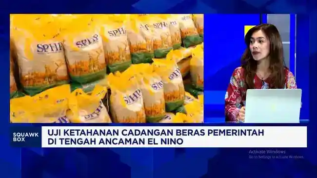 Cadangan Beras Pemerintah Mencapai 4,8 Juta Ton, Harga dan Nasib Petani Jadi Sorotan
