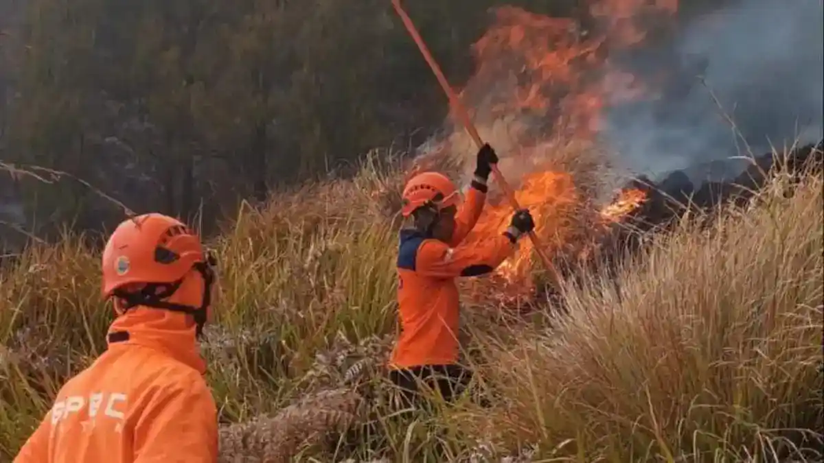 Petugas Keamanan Suraji Wafat, Korban Karhutla Bromo Menjadi Enam Orang