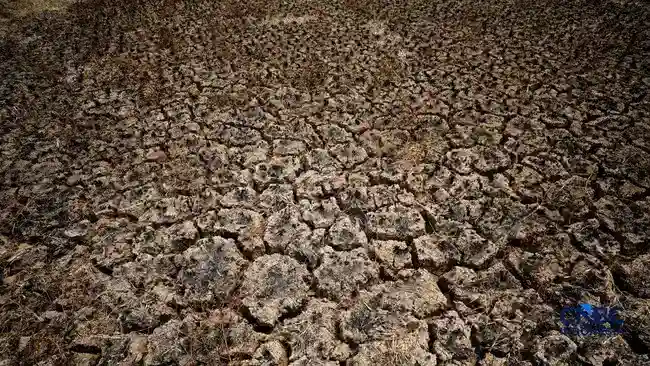 Super El Niño dan Proyeksi Dampak Panas Ekstrem bagi Indonesia