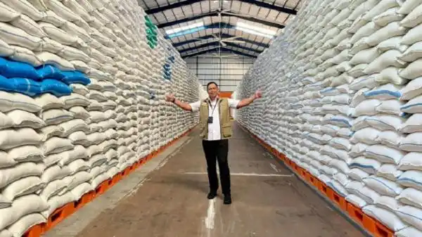 Cadangan Beras Indonesia Tembus 4,5 Juta Ton, Jauh di Atas Stok Malaysia dan Filipina